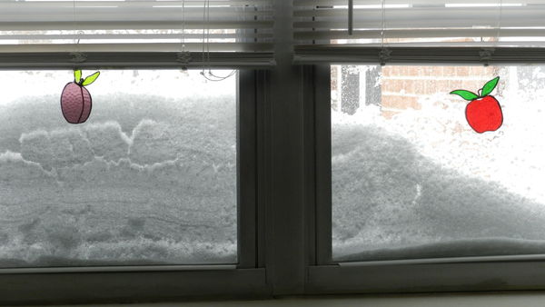 Our windows covered with ice & snow...