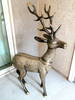 My wife brought this metal sculpture of a deer bac...