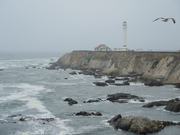 In California in 2014 the fog was in at the Point ...