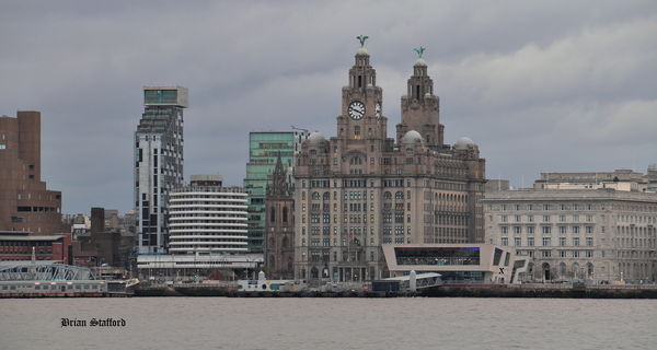 Liver building view from the mersey...