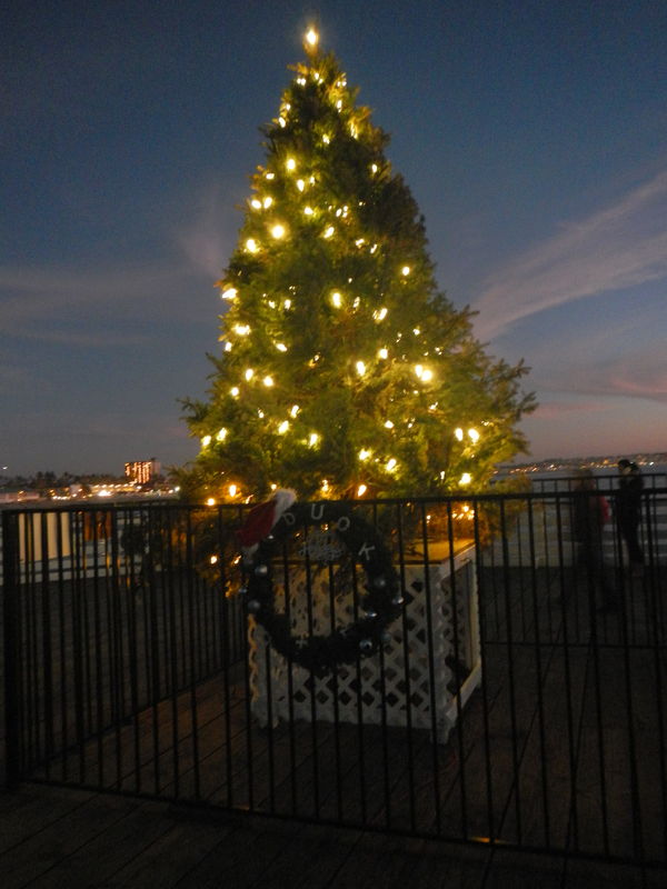 Christmas Tree on P/B Pier....
