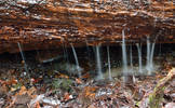 Water falling from a log during recent rain. I had...