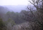 Fog...nature's bokeh. This is the view from my bat...