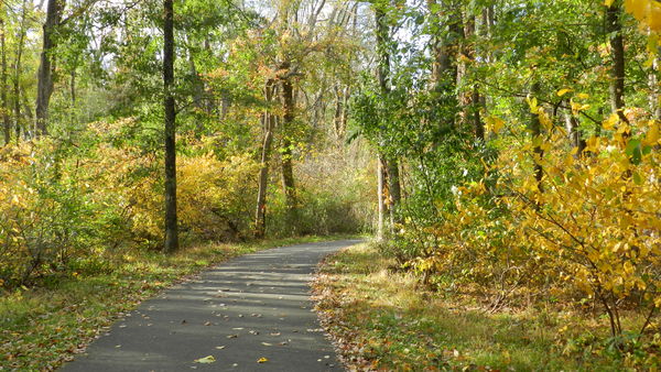Path in Kohler Park...