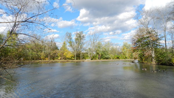 Pond at Kohler Park...