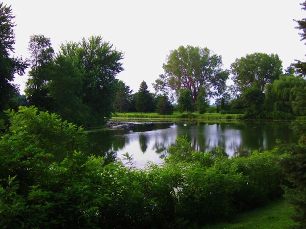 Lake at Gilman Park, Pierce, NE...