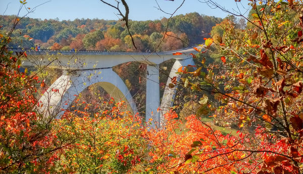 Fall photos on the Natchez Trace Parkway: Hi Folks, these images are of ...