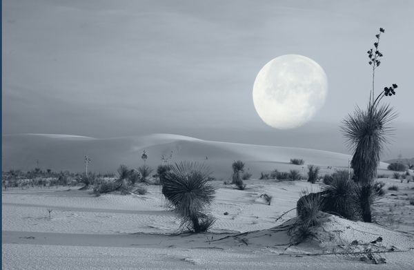 White Sands National Park and the moon....