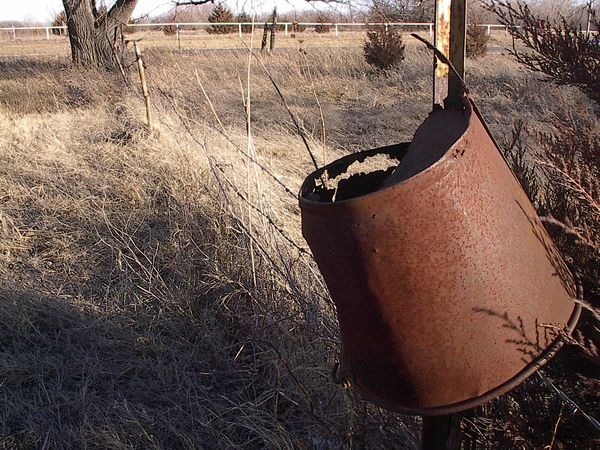 This old bucket hung on a fence pole next to the h...