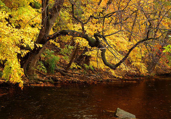 Fall On Saucon Creek...