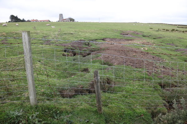 The sett covers a very large area...