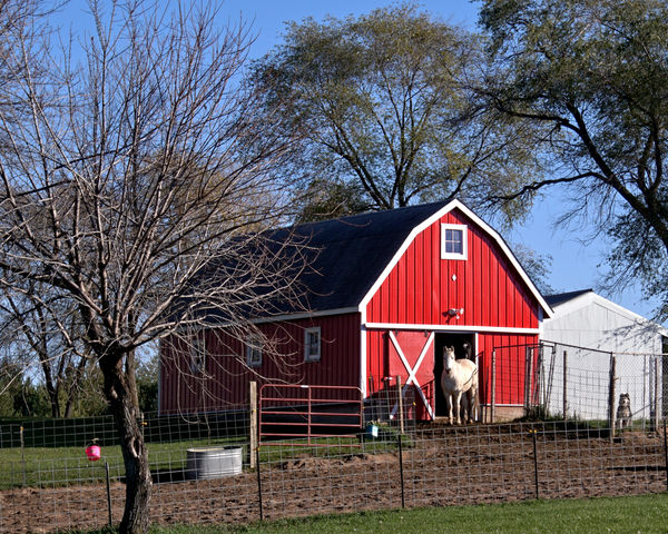 A little red barn and a white horse....