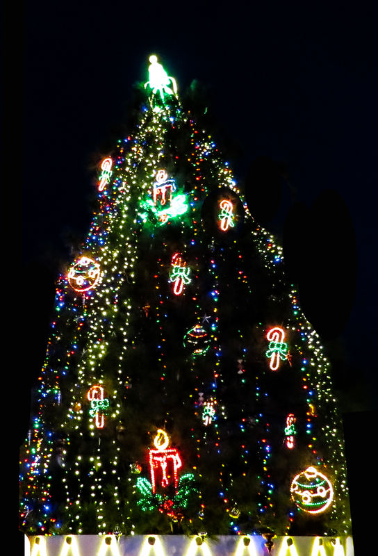 Christmas Tree in Downtown  Williams, AZ...