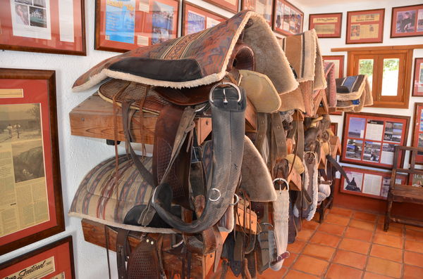 More old saddles...