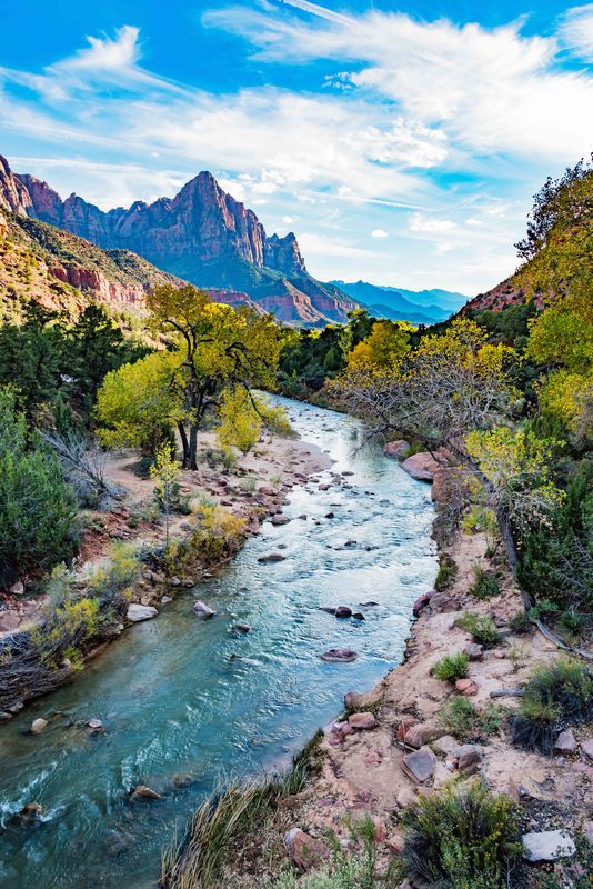 The Virgin River as it nears the lower part of the...
