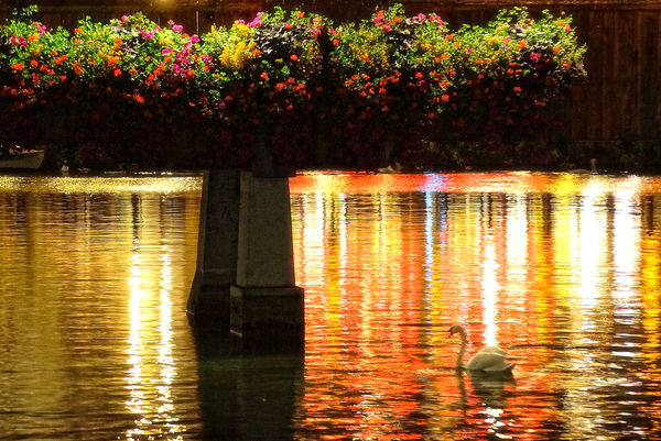 the lights reflecting with the flowered bridge and...