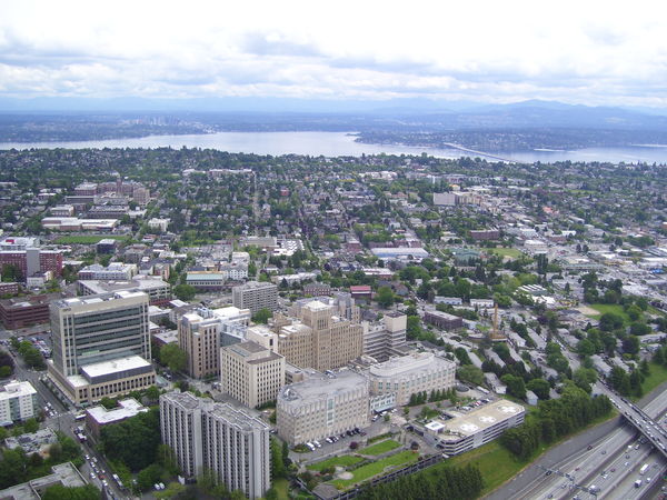 From the top of the Columbia Tower, Seattle, WA...