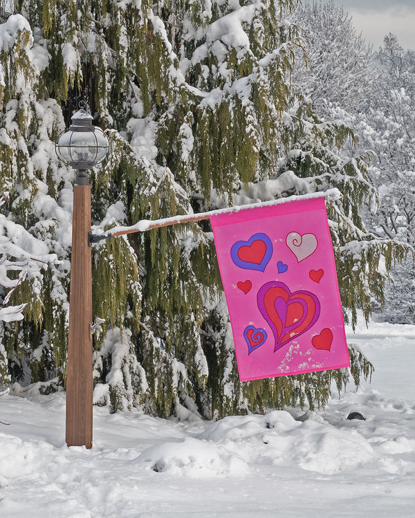 Valentine flag contrasting with snow...