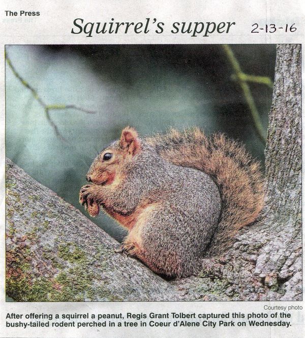 Newspaper photo of my squirrel shot....