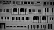 Piano keys the ultimate black & white...