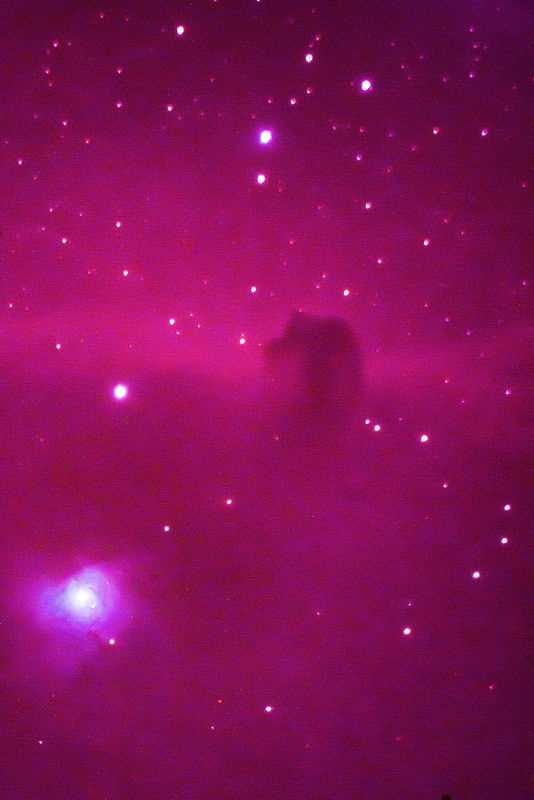Horeshead Nebula w/ NGC 2023 Reflection Nebula...