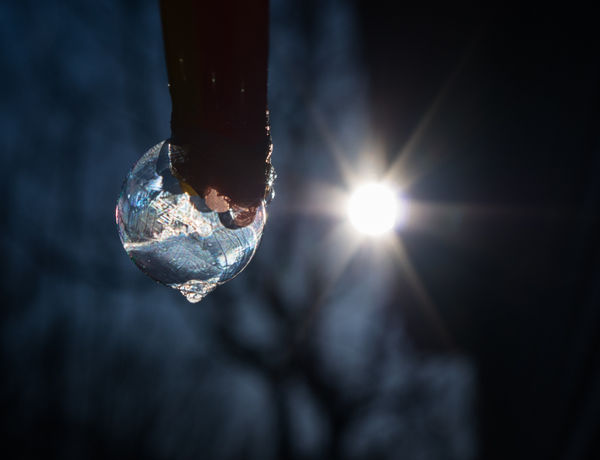 Early morning frozen bubble...