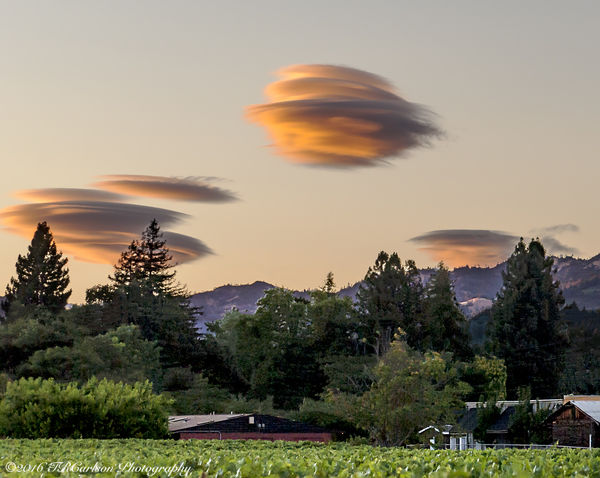 Flying Saucers or Clouds?...