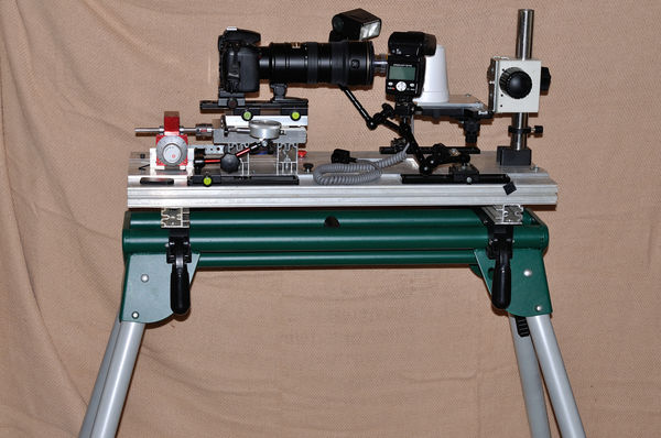 Focus stacking rig set up for 8:1 to 10:1...