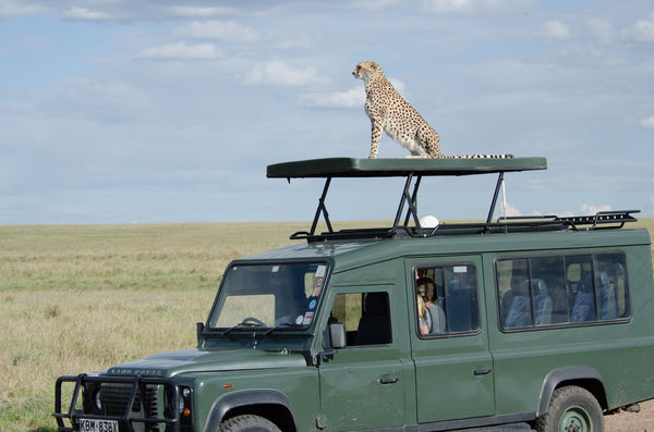 Typical safari vehicle in Kenya...