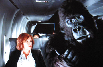 There are gorillas on every plane flight!...