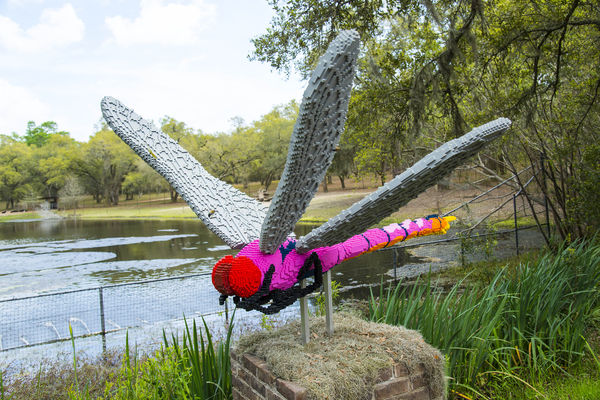 Dragonfly 27788 LEGOs...