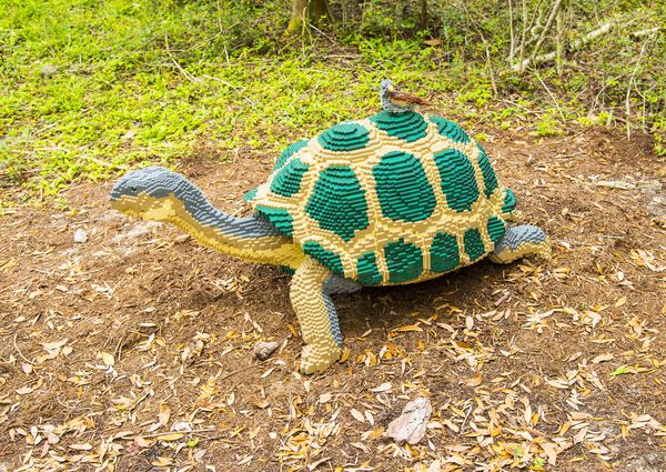 Galapagos Tortoise 27317 LEGOs...