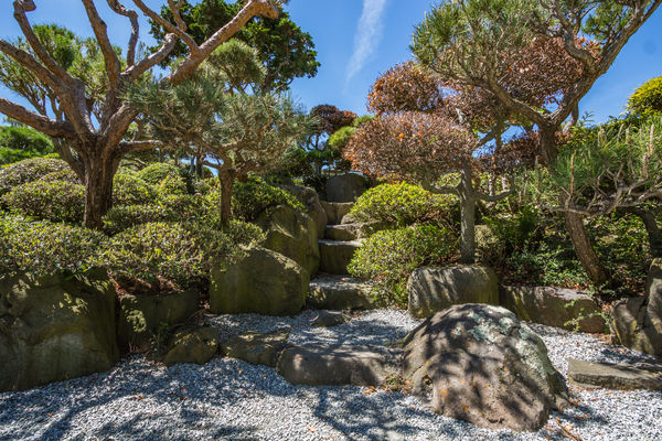 Japanese Gardens Hayward Ca