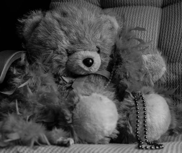 Miss Teddy...