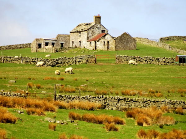 An abandoned farmstead...