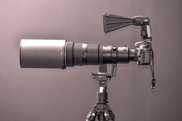 Nikkor 500-mm lens with Nikon SB-900 speedlight & ...