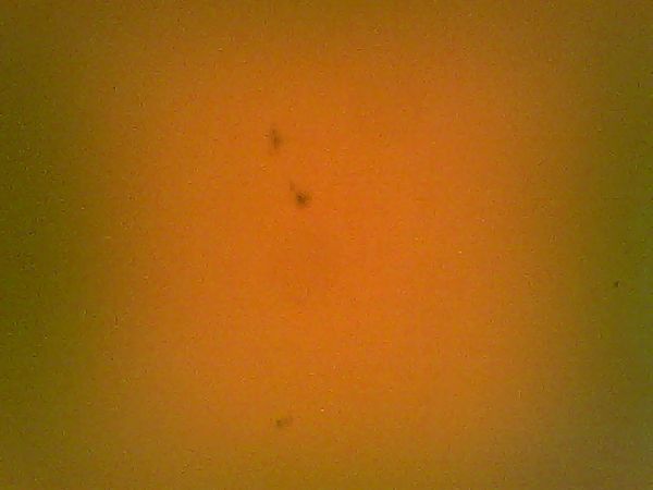 Sunspots between cotton balls......