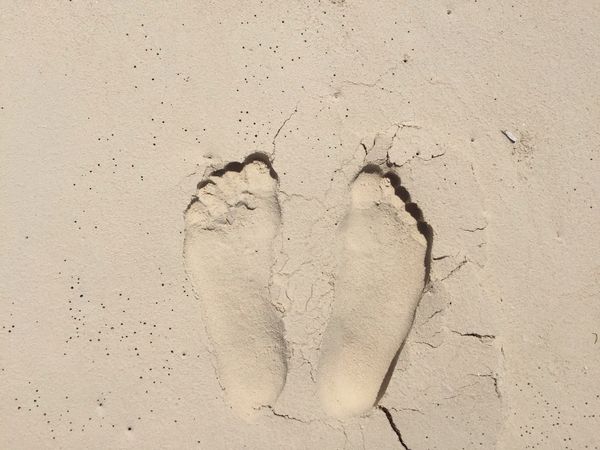 Footprints in the sand...