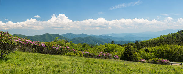 From Atop the 'Balds' at Roan Mountain...