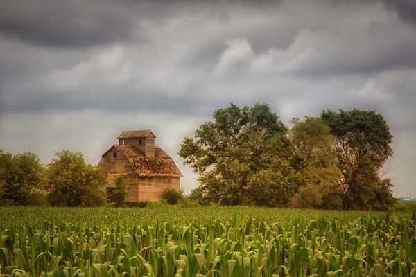 A barn amongst the corn field...