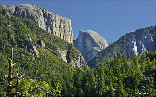 The only spot in the park where El Capitan, Three ...