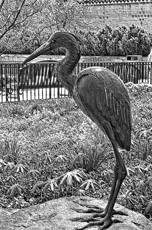 blue heron statue, Toledo zoo...