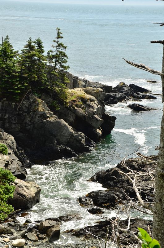 Along the trail by West Quoddy Lighthouse...