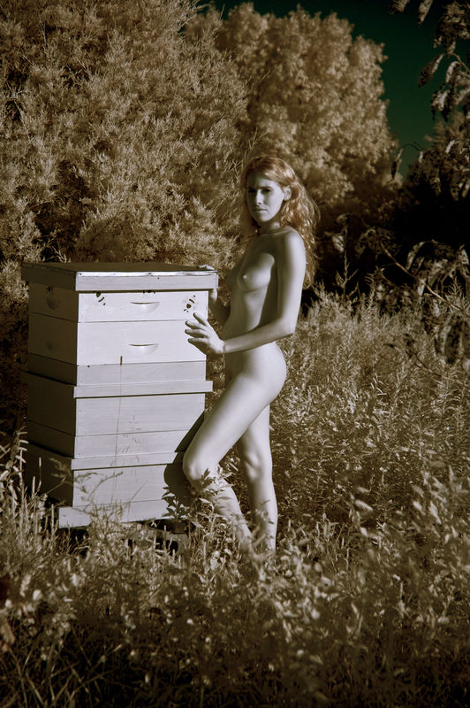 Denise always tends her Hives nude, has never been...