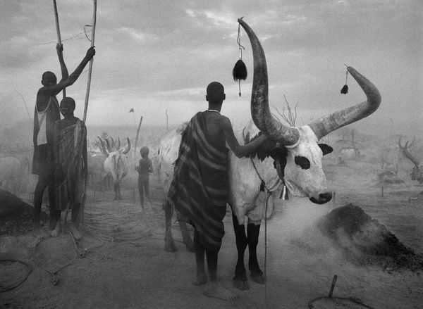 Dinka Group at Pagarau Cattle Camp, Southern Sudan...