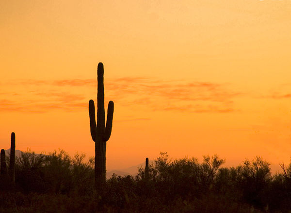 Arizona Sunset...