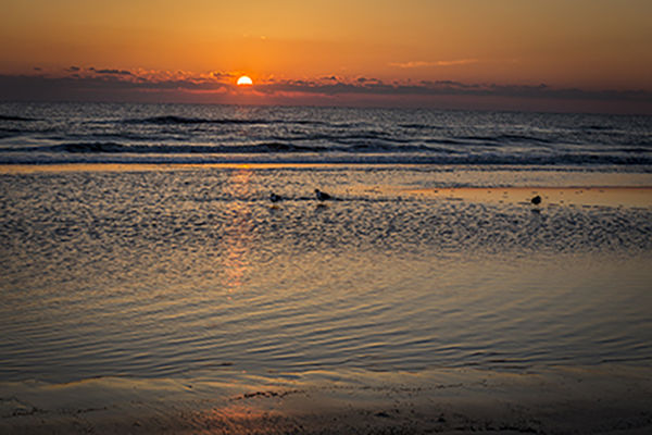 Sunrise St. Augustine Beach...