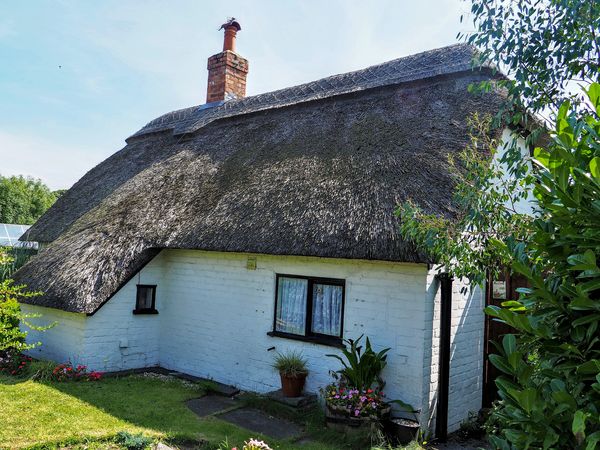 And Next Door One Still with Thatch...