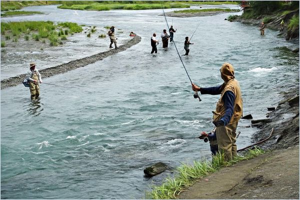 Fishing for salmon in Ship Creek, Anchorage...
