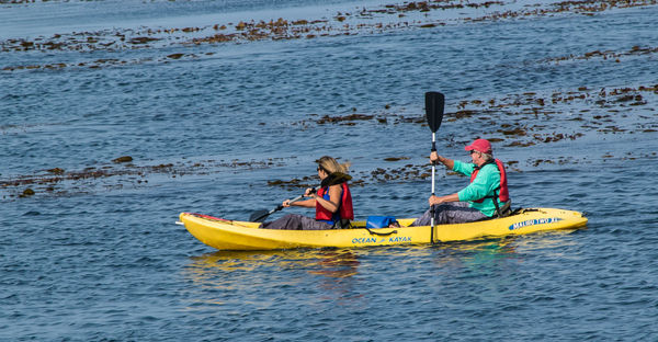 Navigating the kelp in the bay...